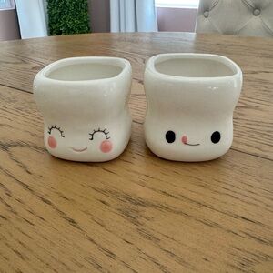 Cute Ceramic Tooth Planters - White